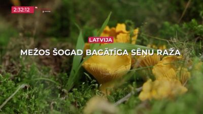 11.09.2026 TV24 SVARĪGAIS 3 MINŪTĒS