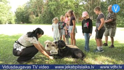 Sala svin pagalma svētkus