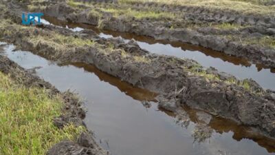 Aizkavējies pirmais pļāvums lopbarības sagatavošanai