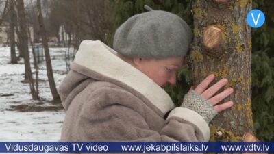 Iedzīvotāji uztraukti par apzāģētajiem kokiem Neretā