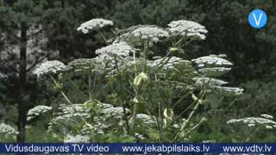 10.07.2026 Jēkabpils laiks