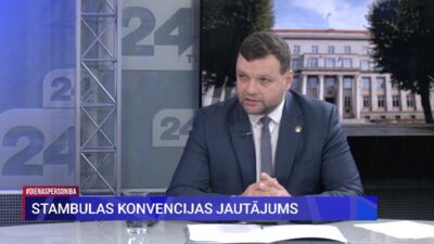 Uzulnieks: Stambulas konvencijas pieņemšana deva grūdienu vardarbības apkarošanai