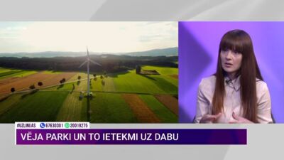Laura Anteina par vēja parku ietekmi uz dabu