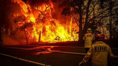 Ošlejs: Parasti ugunsgrēki Austrālijā ir dabiska meža atjaunošanās sastāvdaļa