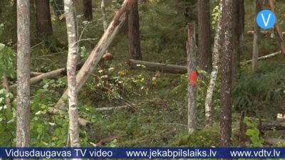 Vētras posts Jēkabpils novada mežos – līdz 40 tūkstošiem kubikmetru bojātas koksnes