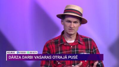 Edgars Neilands: Nav koku, kurus nevar griezt