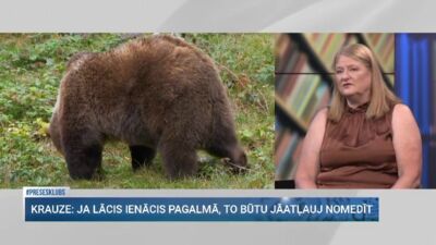 Līdaka: Arī es esmu redzējusi lāču pēdas – vai jāatver diskusija par ieroču glabāšanu mājās?