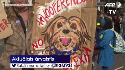 Suņu protesta gājiens pret «Brexit»