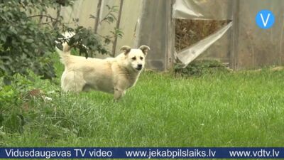 23.09.2025 Jēkabpils laiks