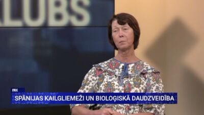 Mārīte Gailīte par pīļu izmantošanu gliemežu apkarošanai: Pienāks rudens, ko tad?