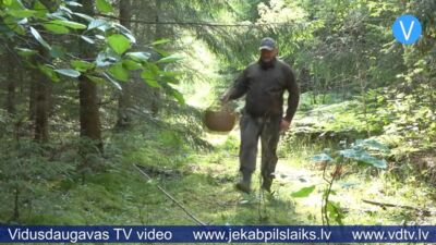 Sēņu sezona sākusies gausi – mežos pagaidām maz sēņu