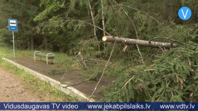 Tauta ziņo: transports uz skolu jāgaida zaru kaudzē
