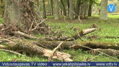 Tauta ziņo: dažviet Jēkabpilī sajūta, ka vētra bijusi vakar