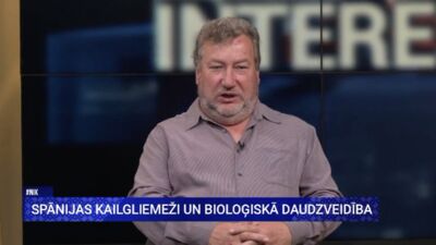 Spānijas kailgliemeži ļoti labi pārziemo - kā pabojāt viņiem to prieku?