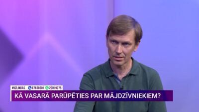 Kā vasarā parūpēties par mājdzīvniekiem?