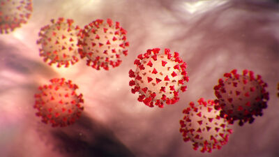 Rozentāle: Koronavīruss ir jau pazīstama vīrusa mutācija