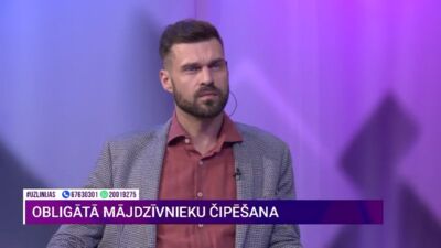 Kā sokas ar mājas kaķu obligāto čipēšanu?