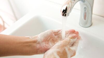 Muižnieks: Arī pārmērīga roku mazgāšana var nākt par sliktu