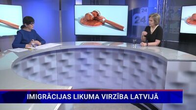 Ineta Ziemele par imigrācijas likuma virzību Latvijā