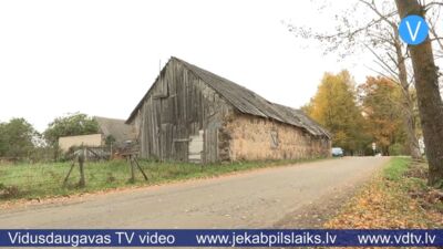 Pašvaldības koks sabojā kūts jumtu – pensionāre kompensāciju nesaņem