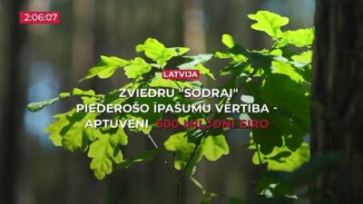 17.01.2025 TV24 SVARĪGAIS 3 MINŪTĒS 19.00