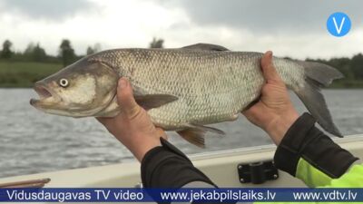 Lielākais loms – 4,9 kilogrami; Sudrabkalnā sacenšas spiningotāji
