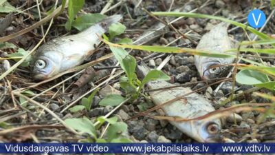 Zivis uz ceļa – lietavu sekas Jēkabpils novadā