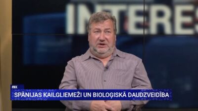 Svilāns: Spānijas kailgliemeži šogad ir ļoti liela problēma