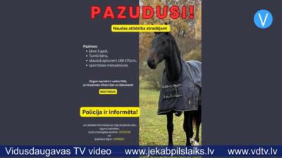 Ābeļu pagasta saimnieki meklē trīsgadīgo ķēvīti vārdā Zizī