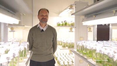 15.11.2025 Atspēriens izaugsmei