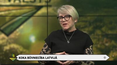 Kāda ir situācija ar koka būvniecību Latvijā?