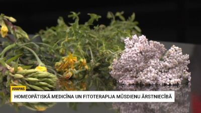 Pļavas augi veselībai