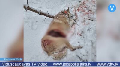 06.01.2026 Jēkabpils laiks