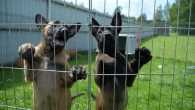 16.03.2026 Reģiona iespējas: no studenta līdz speciālistam