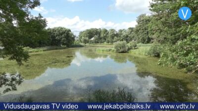 Tauta ziņo: Pils dīķis pārvēršas par purvu