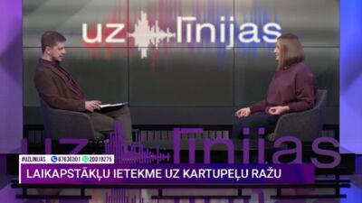 Kā vislabāk uzglabāt kartupeļus?