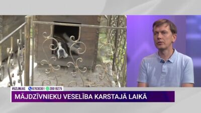 30.07.2026 Uz līnijas