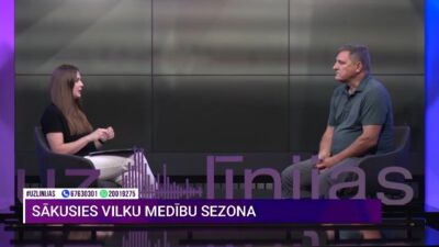 Cik bīstami cilvēkiem doties mežā, ņemot vērā vilku un citu plēsēju populācijas pieaugumu?