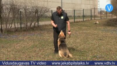Kinologa vadībā Jēkabpils patversmes suņi apgūst pamatiemaņas