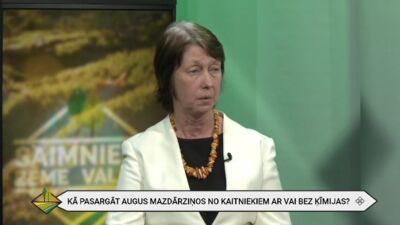 Mārīte Gailīte: Viss ir atkarīgs no tā, ar kādu kaitēkli jācīnās
