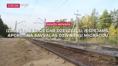 26.10.2026 TV24 SVARĪGAIS 3 MINŪTĒS