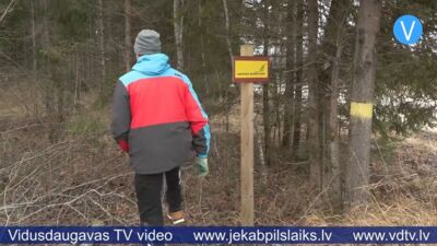 Ziemassvētku eglīšu cenas reģionos svārstās no 25 līdz 80 eiro