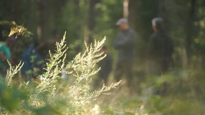 Notikusi pirmā sabiedriskā apspriešana par Juglas meža kopšanu