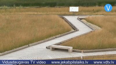 Kādēļ fitoremediācijas laukos Jēkabpilī netiek pļauta zāle?