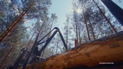 01.11.2025 Atspēriens izaugsmei