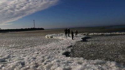 Ar "cilvēku ķēdi" Klaipēdā no ledu gabala izglābtas divas sievietes un bērni