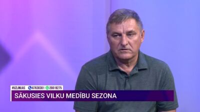 Sākusies vilku medību sezona – atļauts nomedīt 370 vilkus. Vai šis skaits ir pietiekams?
