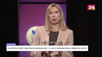 Ingūna Gulbe: Tā ir īslaicīga caurumu lāpīšana