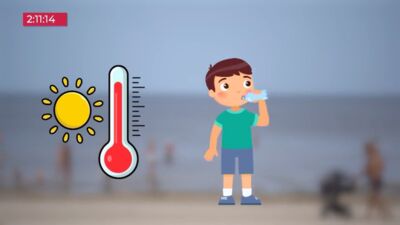 25.06.2026 TV24 SVARĪGAIS 3 MINŪTĒS 17.00