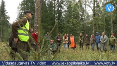 Oglekļa tirgus sekmē gan ekonomiku, gan dabas daudzveidību